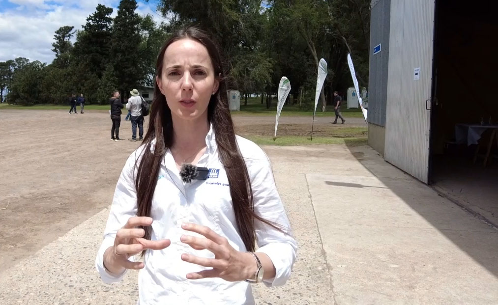 Yara en AGD: "Es la problemática la que nos permite definir la estrategia"